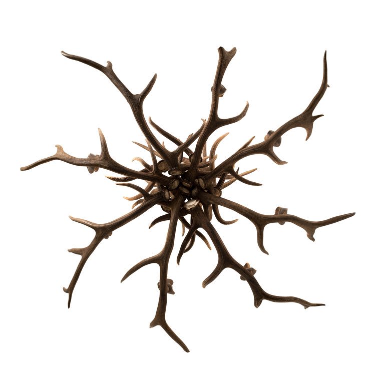 Rustic 8-Light Antler Chandelier with Antique Copper Finish