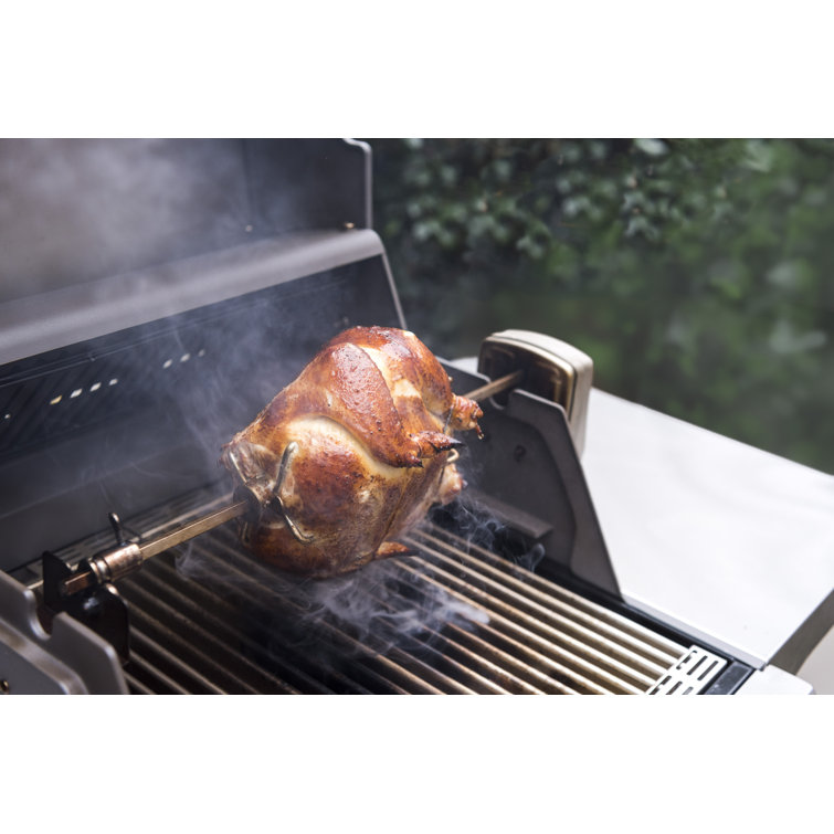 Stainless Steel Rotisserie Kit with Case and Motor