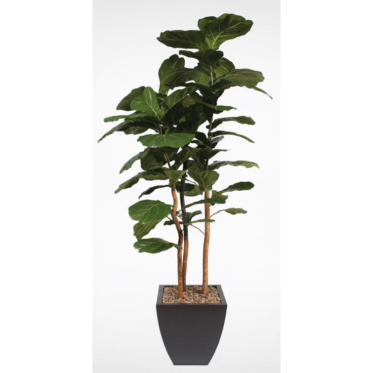 84'' Black Metal Planter with Silk Faux Fiddle Leaf Fig Tree