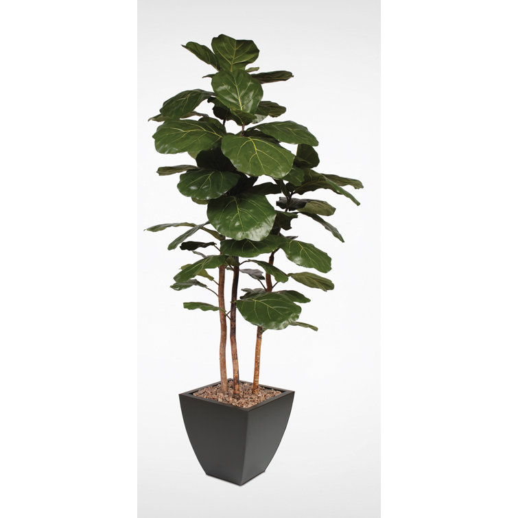 84'' Black Metal Planter with Silk Faux Fiddle Leaf Fig Tree