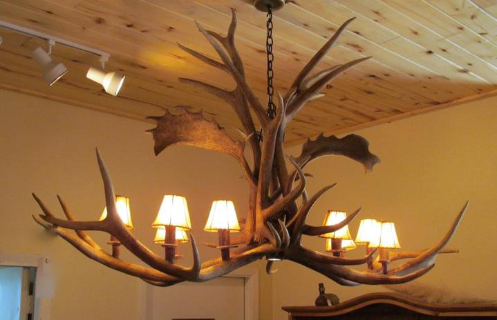 Rustic Mule Deer Antler 8-Light Chandelier with Antique Brass Chain