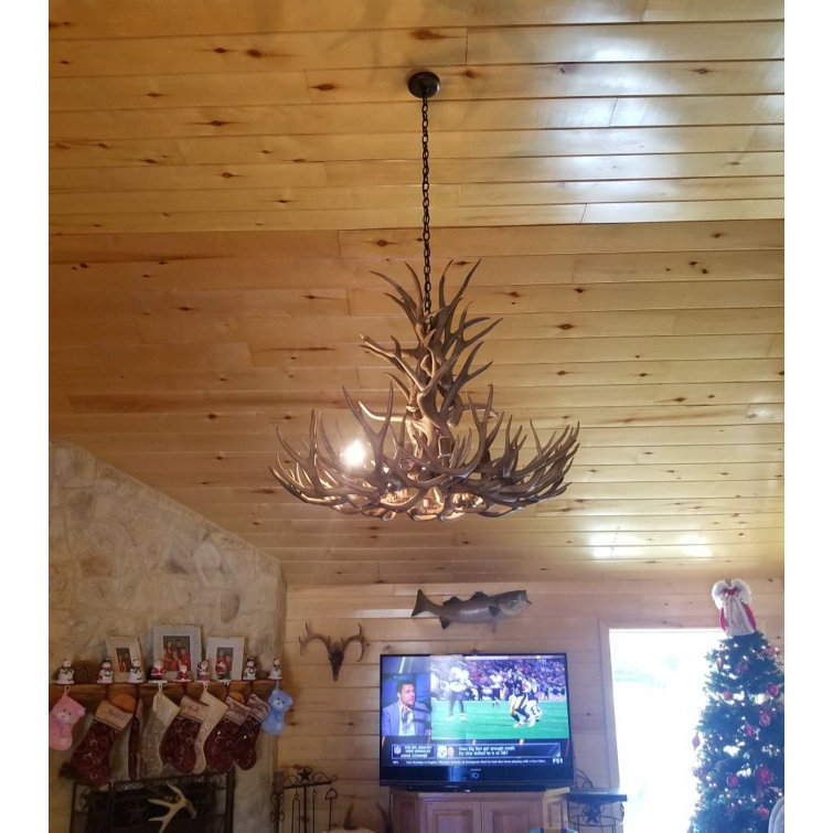 Rustic Mule Deer Antler 8-Light Chandelier with Antique Brass Chain