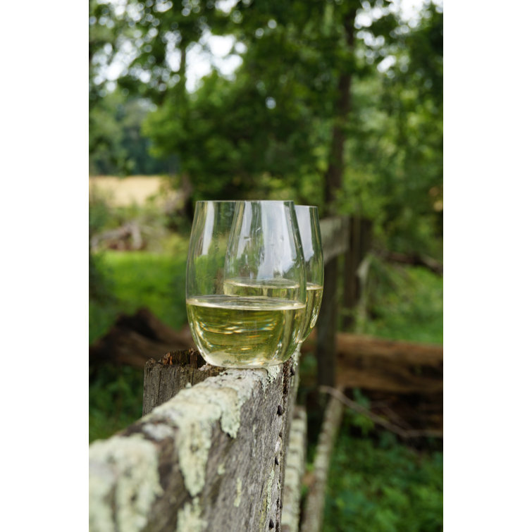 Fortessa 20 oz Clear Plastic Stemless Wine Glass Set of 6