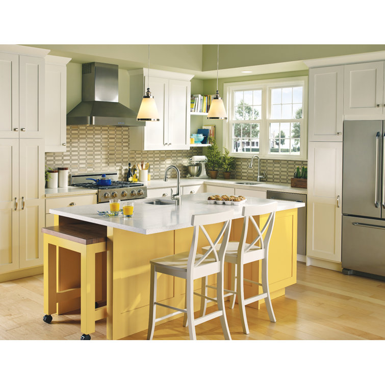 Stainless Steel Transitional Bar Faucet with Pull-out Spray