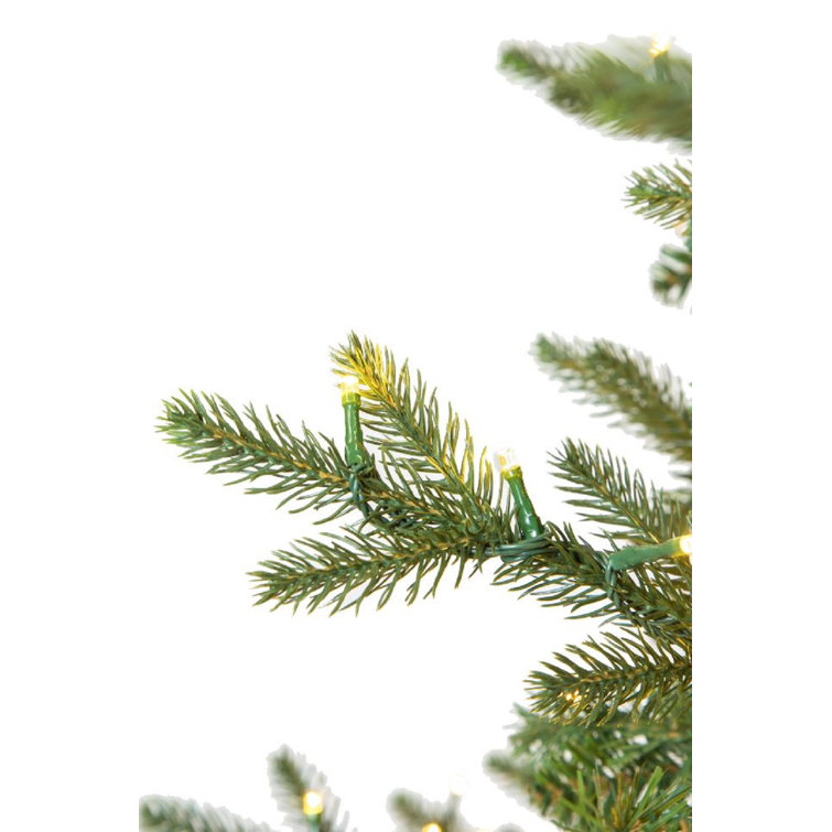 12' Green Fir Christmas Tree with Clear Lights