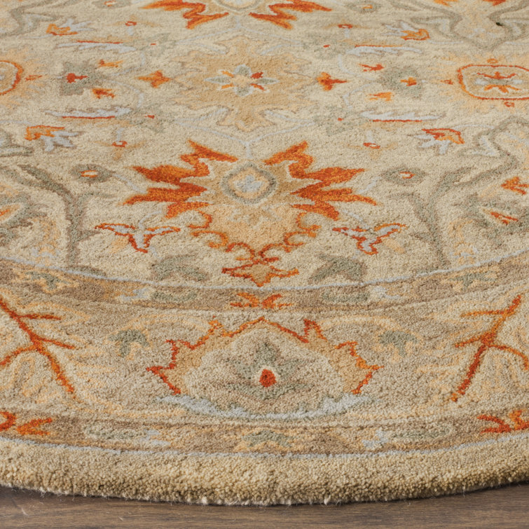 Elegant Antiquity Beige Wool 4' x 6' Hand-Tufted Area Rug