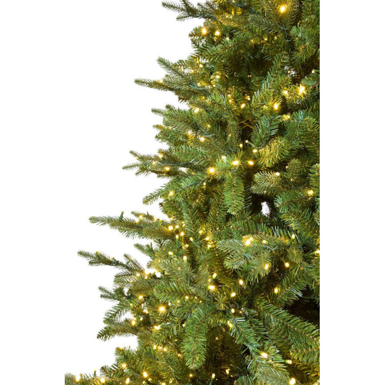 12' Green Fir Christmas Tree with Clear Lights