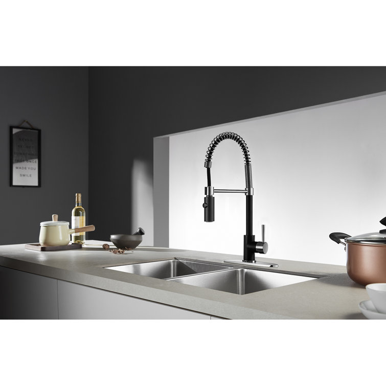 Matte Black and Chrome Single-Handle Pre-Rinse Kitchen Faucet