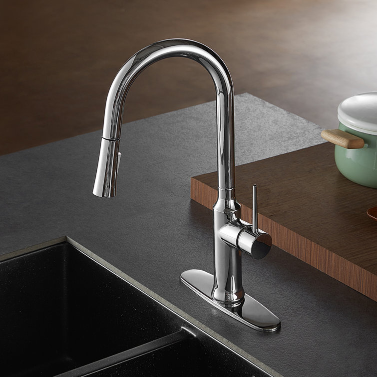 Polished Chrome Single-Handle Pull-Down Kitchen Faucet with Spray