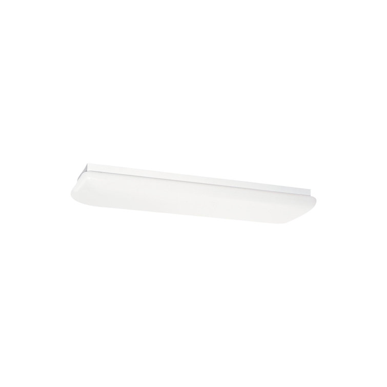 Modern White 2-Light Indoor/Outdoor Fluorescent Flush Mount