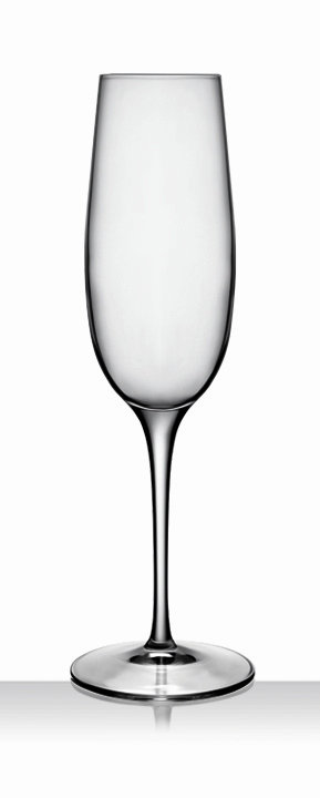 Elegant Clear 8.25oz Champagne Flute Set of 6