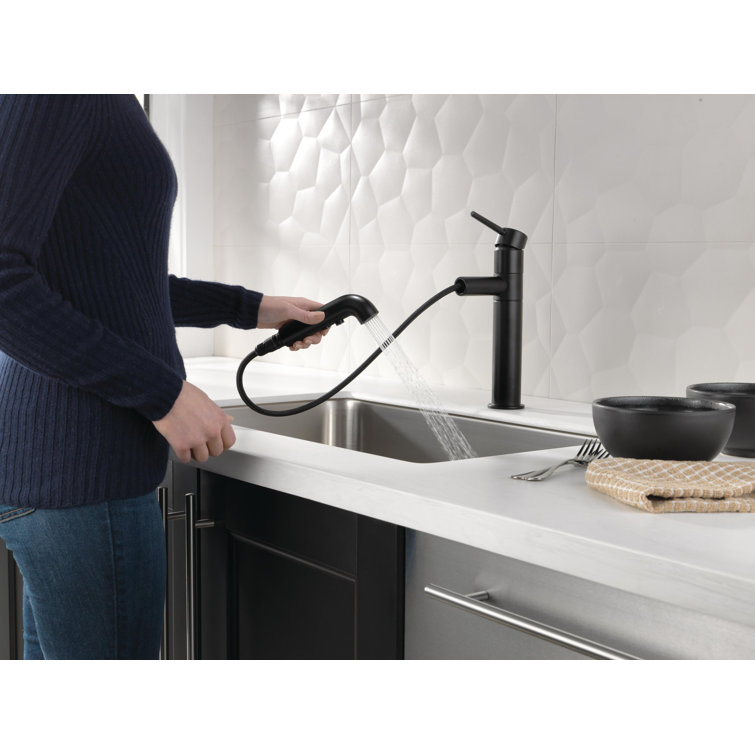 Matte Black Stainless Steel Pull-Out Spray Kitchen Faucet