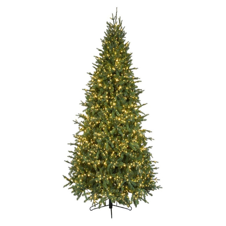 12' Green Fir Christmas Tree with Clear Lights