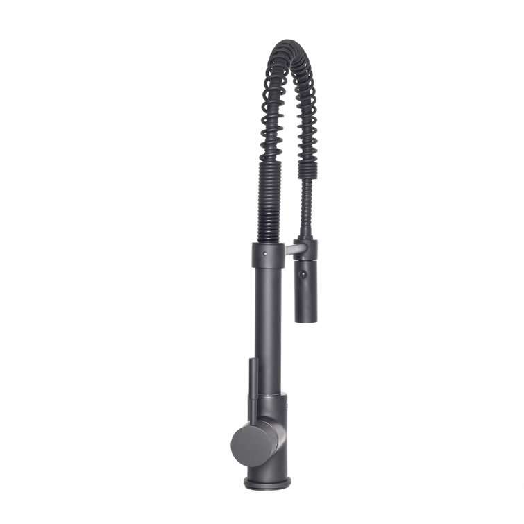 Matte Black Brass Kitchen Faucet with Pull-out Spray