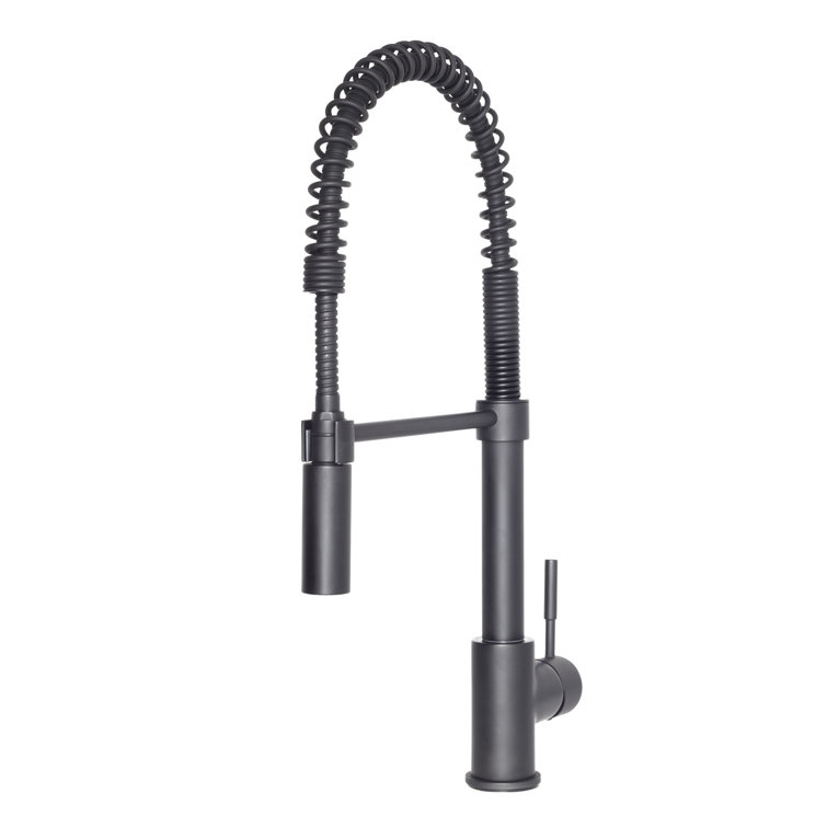 Matte Black Brass Kitchen Faucet with Pull-out Spray