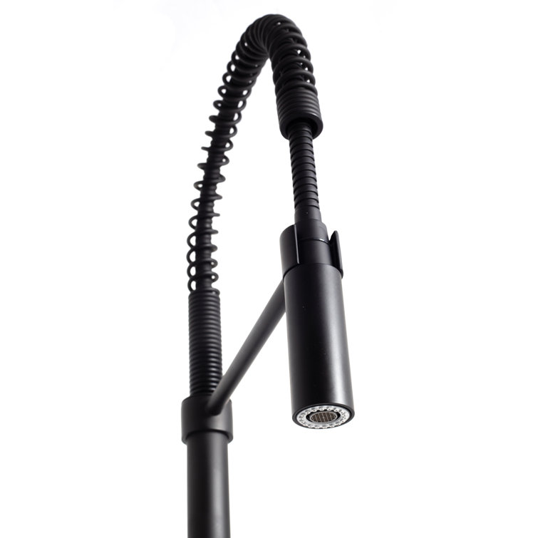 Matte Black Brass Kitchen Faucet with Pull-out Spray