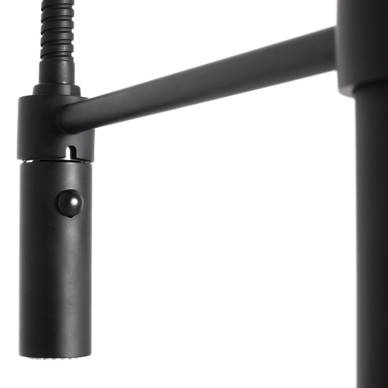 Matte Black Brass Kitchen Faucet with Pull-out Spray