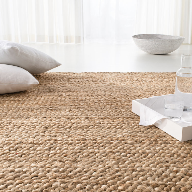 Handmade Braided Cotton-Straw 4' x 6' Rectangular Area Rug