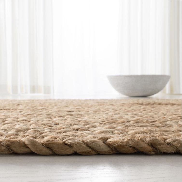 Handmade Braided Cotton-Straw 4' x 6' Rectangular Area Rug