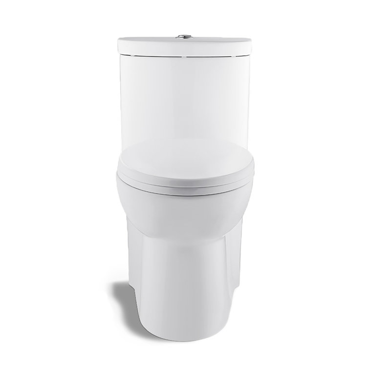 Glossy White Elongated Dual Flush One-Piece Toilet
