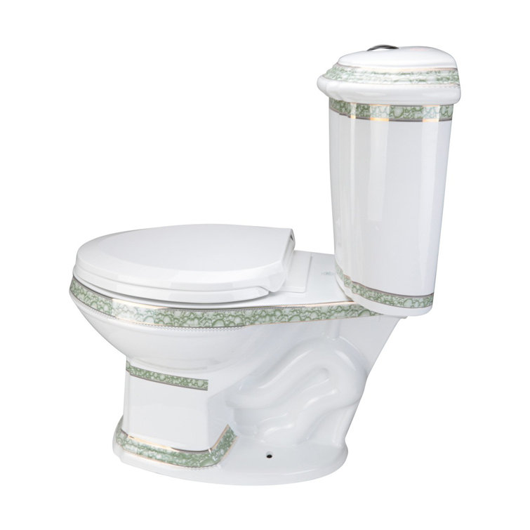 Elongated White and Green Dual Flush Two-Piece Toilet