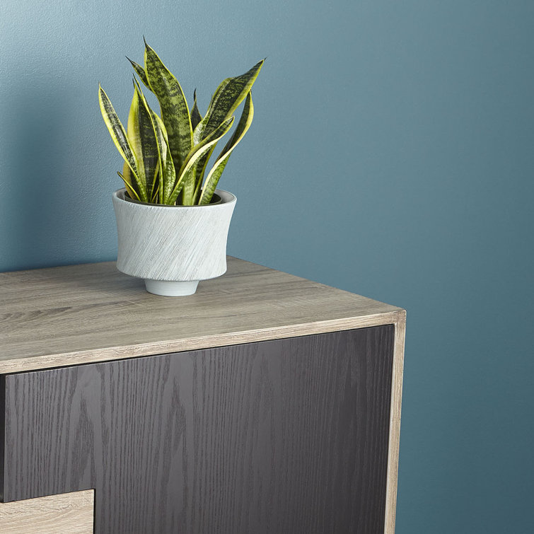 Oyster Blue Ceramic Textured Planter, 7.5"
