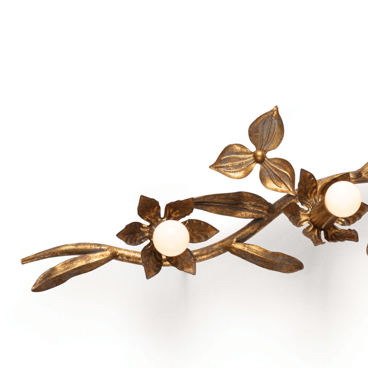 Trillium 5-Light Brass Wall Sconce with Dimmable Candelabra