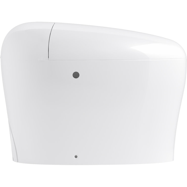 White Elongated Free Standing Dual Flush Toilet