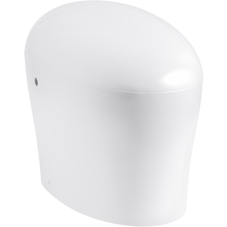White Elongated Free Standing Dual Flush Toilet