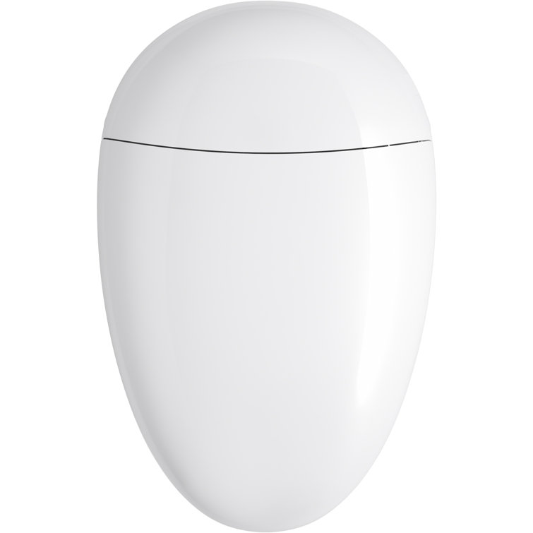 White Elongated Free Standing Dual Flush Toilet