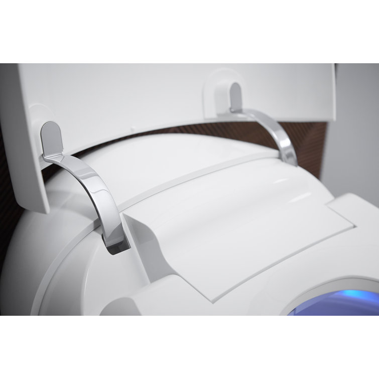 White Elongated Free Standing Dual Flush Toilet
