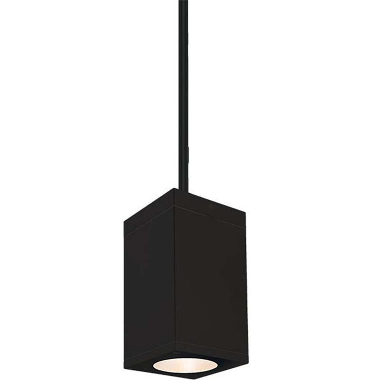 Black Glass LED Indoor/Outdoor Pendant Light