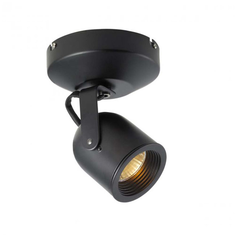Black Aluminum Spot Light with Clear Glass Shade