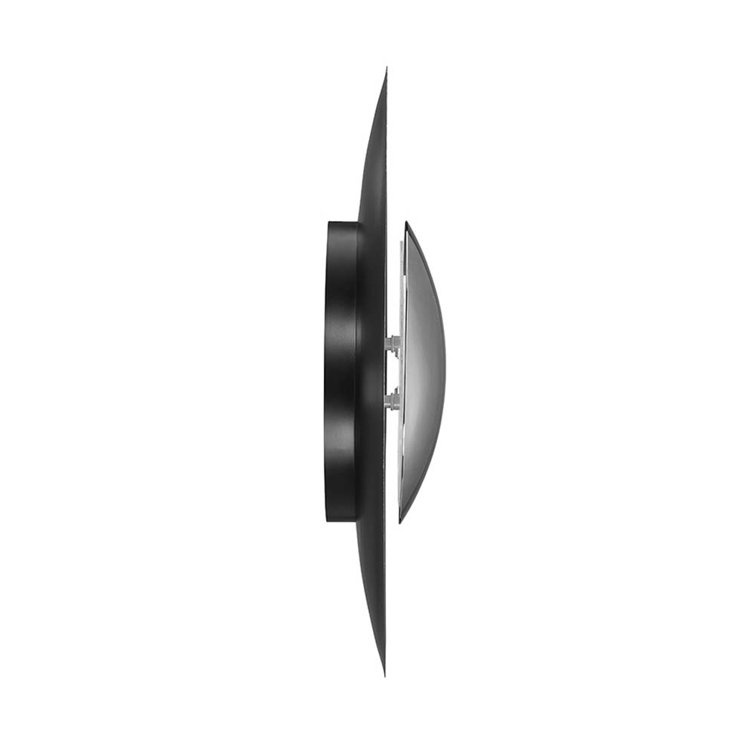 Blaze Silver Leaf 12" LED Wall Sconce with White Diffuser