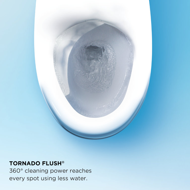 White Elongated One-Piece Toilet with Bidet Seat