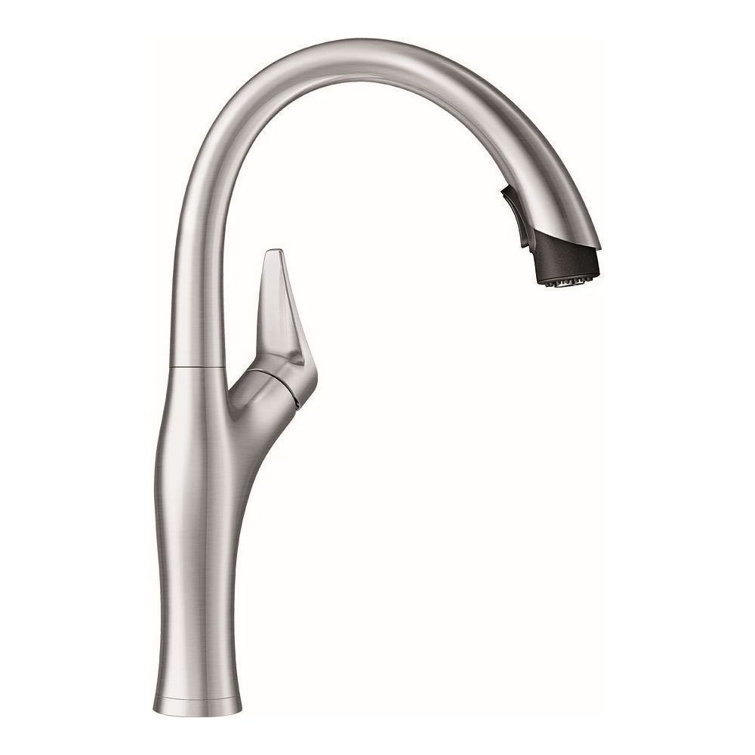 Stainless Steel Pull-Down Kitchen Faucet with Dual Spray