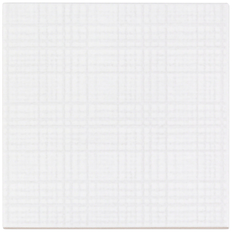 Eldorado White 6x6 Matte Porcelain Wall and Floor Tile