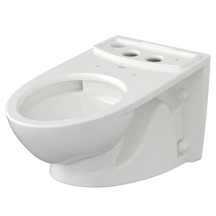 White Elongated Wall Mounted Dual Flush Toilet Bowl