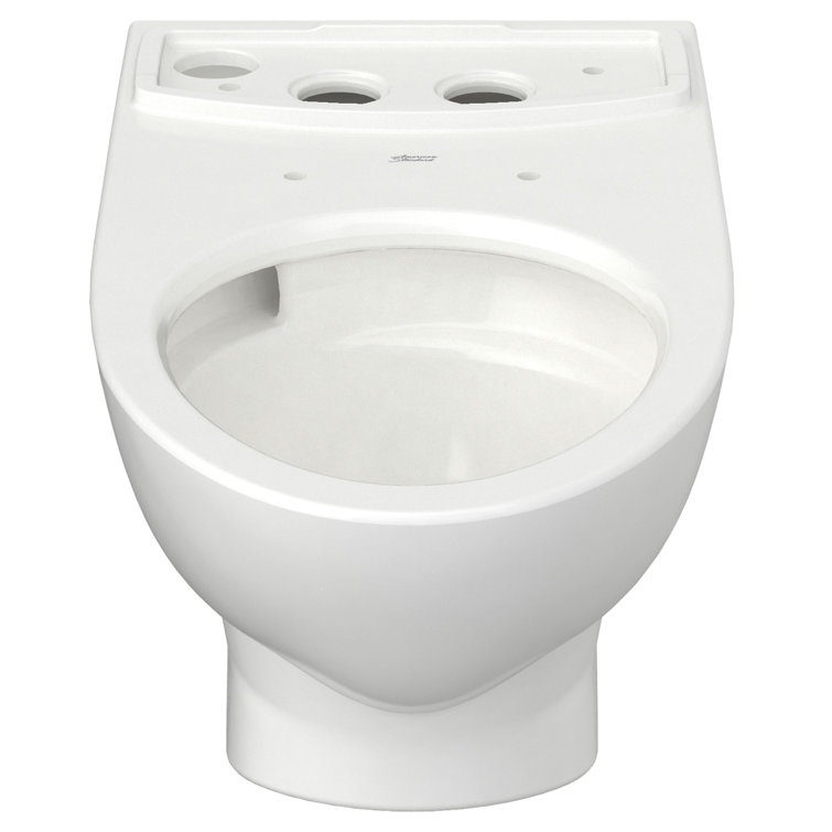 White Elongated Wall Mounted Dual Flush Toilet Bowl