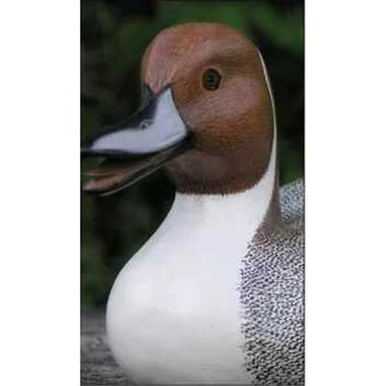 Hand-Painted Albesia Wood Pintail Duck Figurine