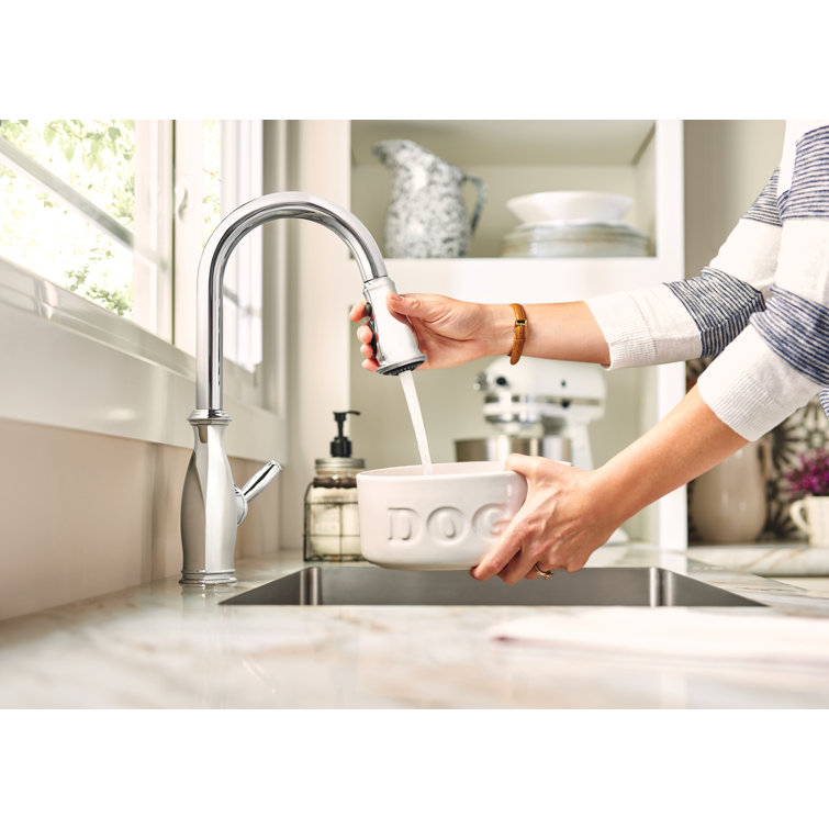 Chrome Traditional Pull-Down Kitchen Faucet with Spray