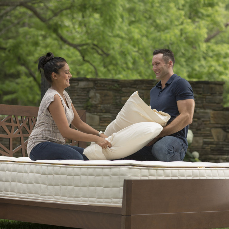 Standard Organic Cotton and PLA Low Fill Pillow