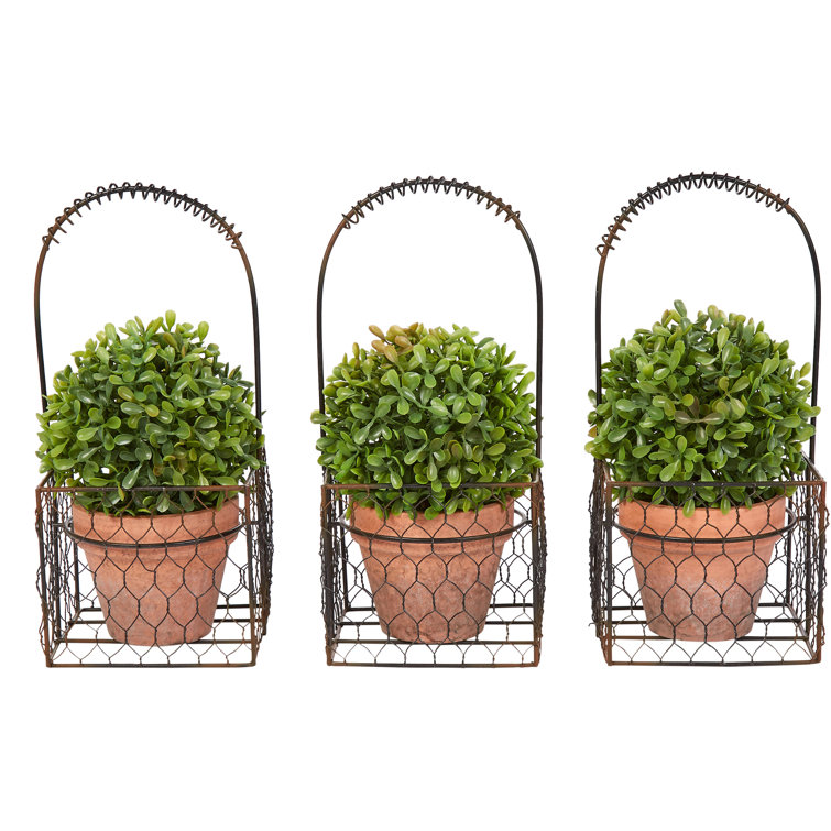 EverGreen Essence 9.5'' Faux Boxwood Floor Topiary in Terra Cotta Pot