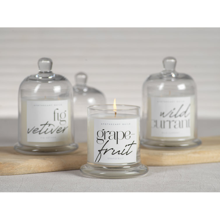 Elegant Black Fig & Vetiver 10oz Scented Jar Candle with Glass Dome