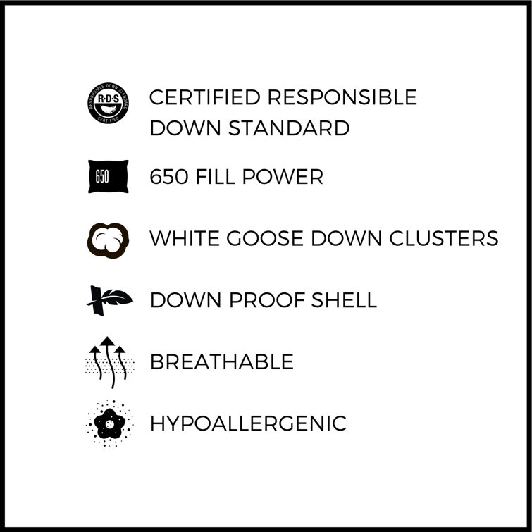 King Size White Goose Down Hypoallergenic Pillow Set
