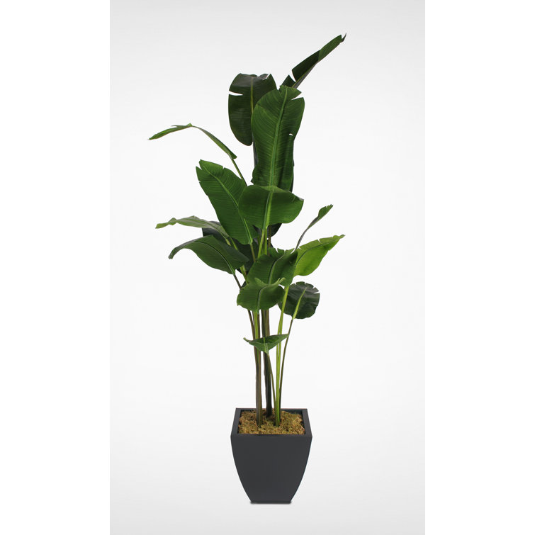 94'' Green Faux Bird Paradise Tree in Black Metal Pot