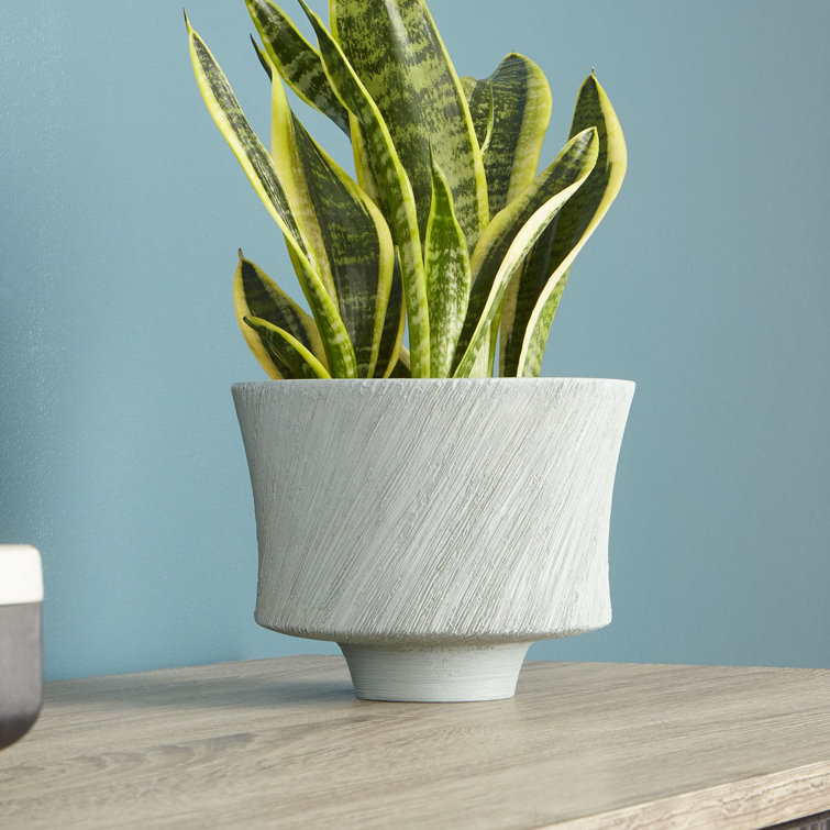 Oyster Blue Ceramic Textured Planter, 7.5"