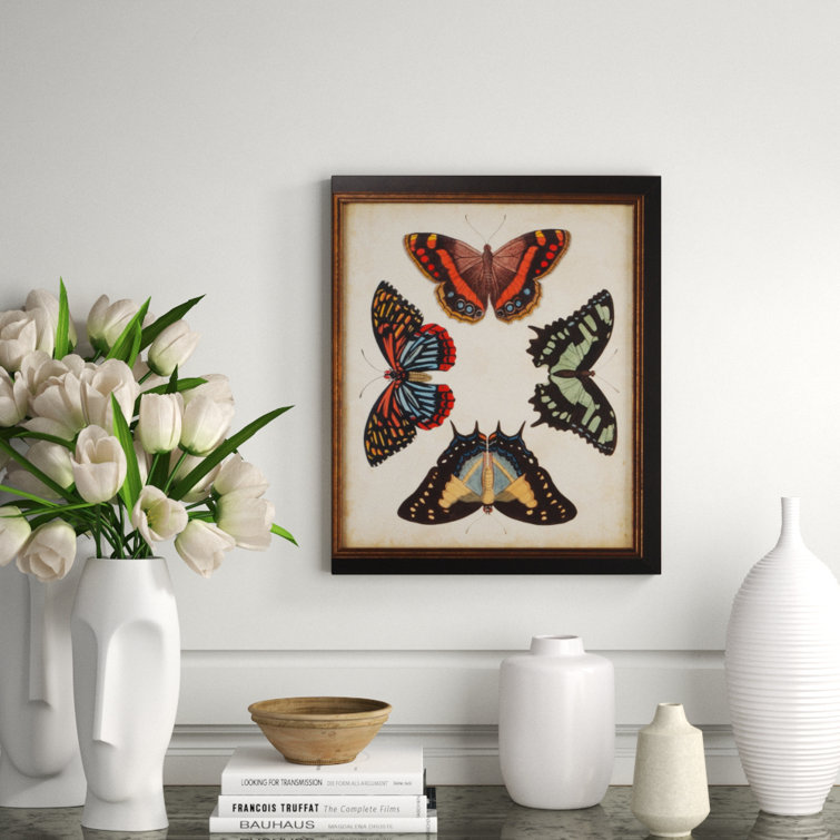 Framed Butterfly Graphic Art Print in Black Frame