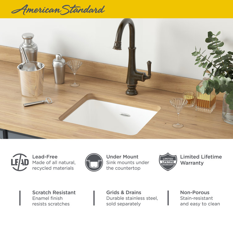 Delancey 18'' White Cast Iron Drop-In Kitchen Sink