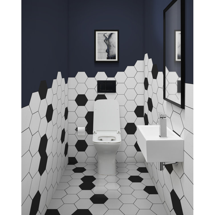 Voltaire 19.5 x 10 White Ceramic Wall-Mount Sink